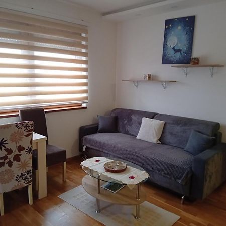 Iva Apartment Zlatibor Exterior photo